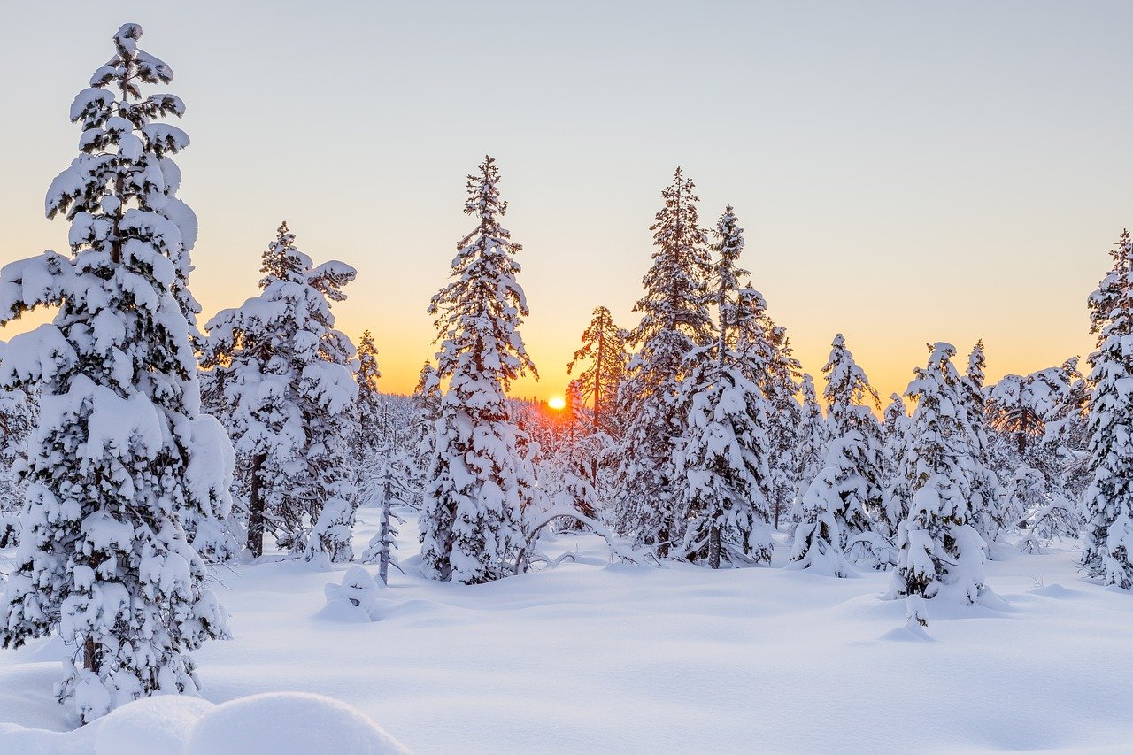Aparat fotograficzny idealny na zimowe krajobrazy