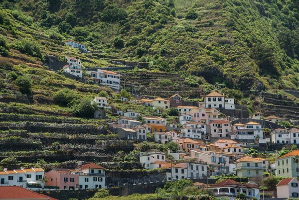Madera – wiecznie zielona wyspa, która zachwyca